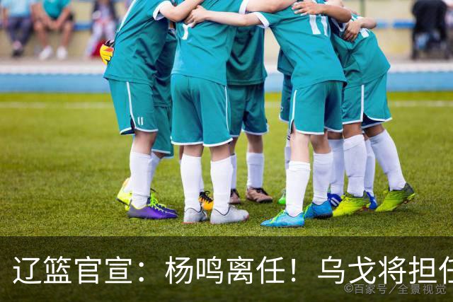 辽篮官宣：杨鸣离任！乌戈将担任辽宁男篮主帅